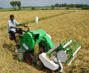 Farm Machinary