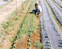 Soil & Water Conservation