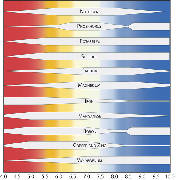 Soil Ph For Plants Chart