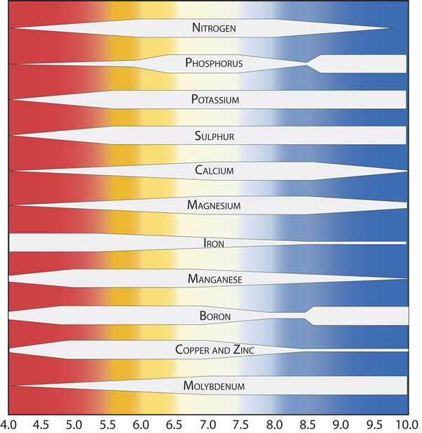 Ph And Nutrient Availability Chart