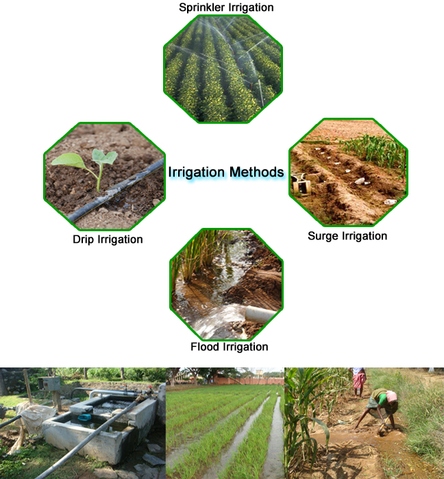 agri_irrigationmgt