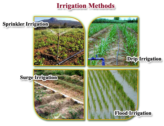 agri_irrigationmgt