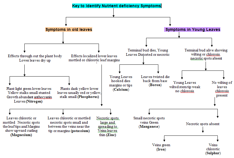 Deficiency Chart Of Plant Nutrients