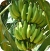 Bannana