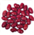 Beans