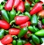 Chillies