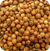 Coriander