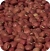 Cowpea