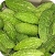 Cucurbits