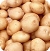 Potato