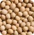 soyabean