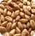 Wheat
