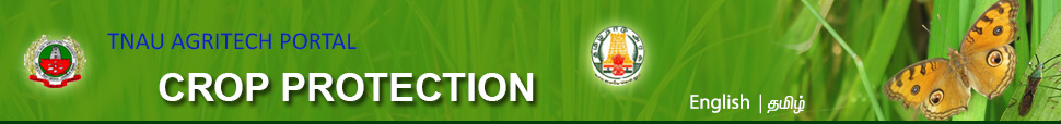 TNAU Agritech Portal