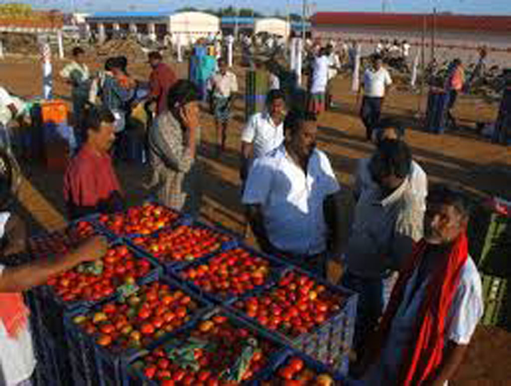Vegetable Market 2