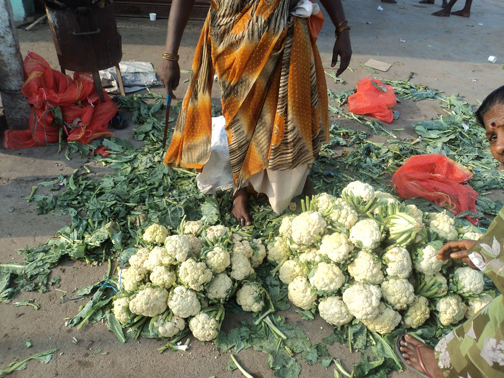 Vegetable Market 7