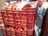 Tomato n plastic boxes 2