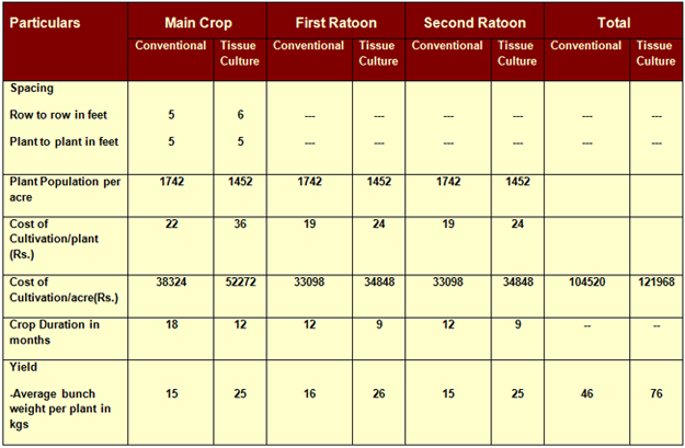 Vegetable Growing Season Chart India