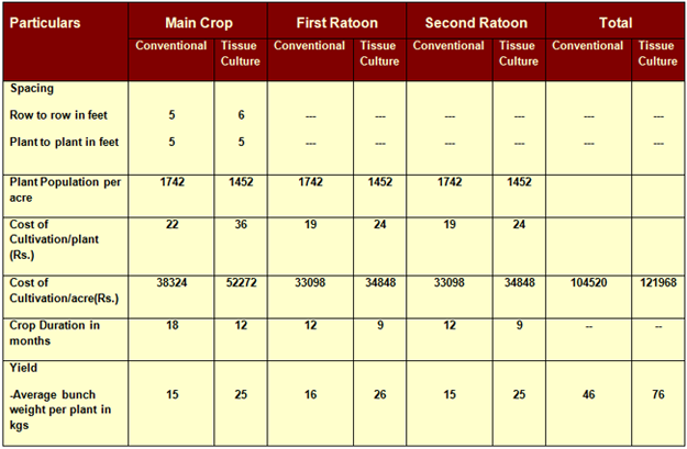 Sugarcane Fertilizer Chart