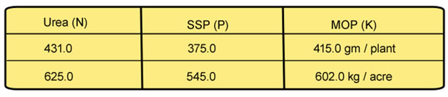 Fertigation Compatibility Chart