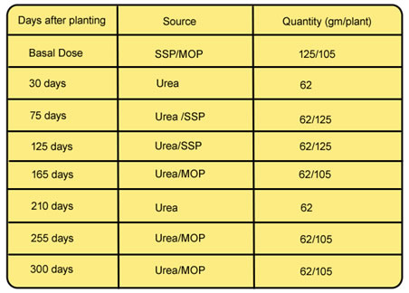 Fertilizer Ppm Chart