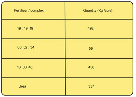 Fertigation Compatibility Chart