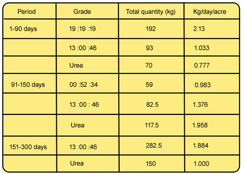 Banana Fertilizer Schedule Pdf JaelyntinWatts