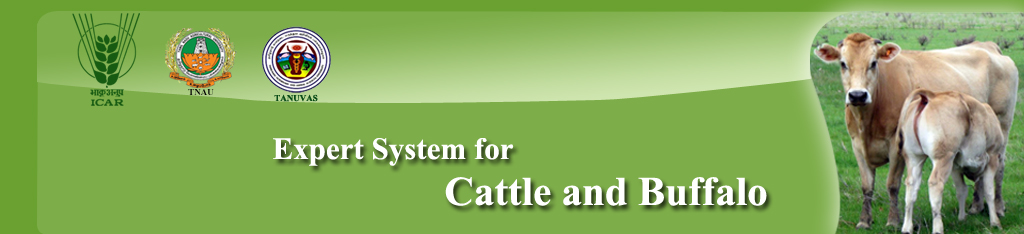 Animal Husbandry Animal Husbandry