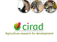 cirad