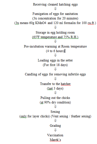 Poultry Incubation Chart