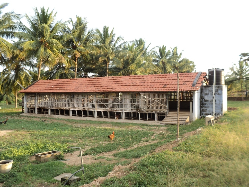 Sheep House Plans