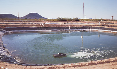 these use irrigation ditches or farm ponds to raise fish