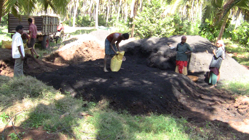 biochar composting 023