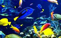 Fisheries