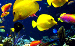 Fisheries