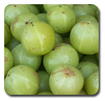 Amla