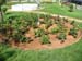 Flower bed with Ixora