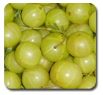 Amla