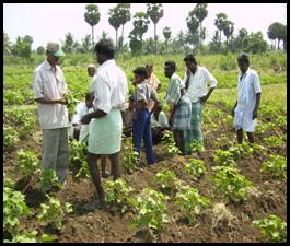 Erode Success Stories