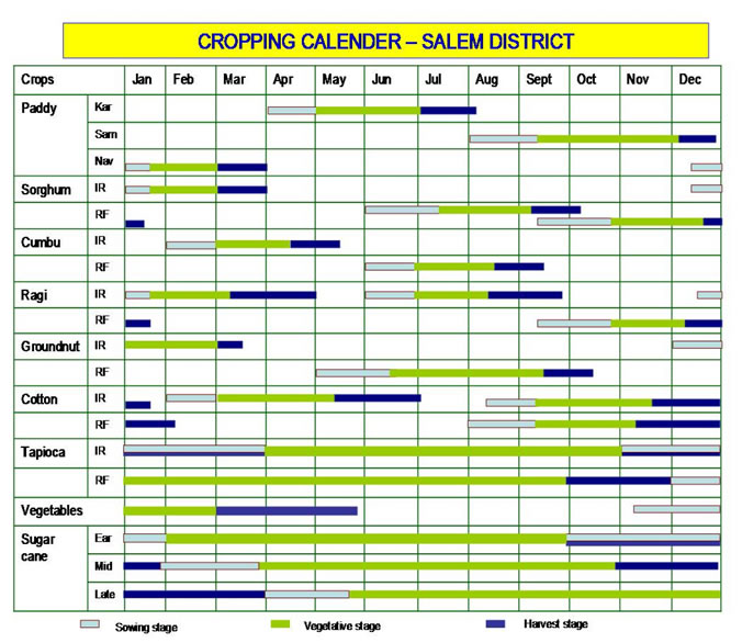Major Crops in Salem Districts