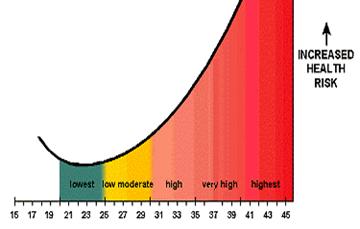 Obesity Chart