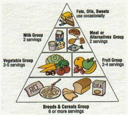 Food Pyramid