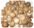 Areca Nut