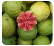 Guava