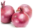 Onion