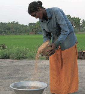 seed treatment