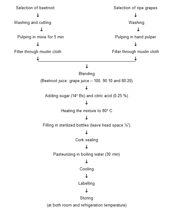 Pickle Processing Flow Chart