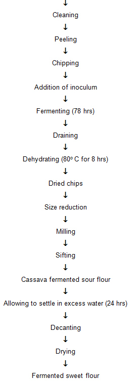 Pepper Processing Flow Chart