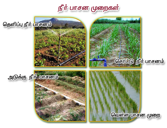 irrigation methods