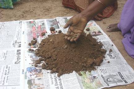 Soil Sampling