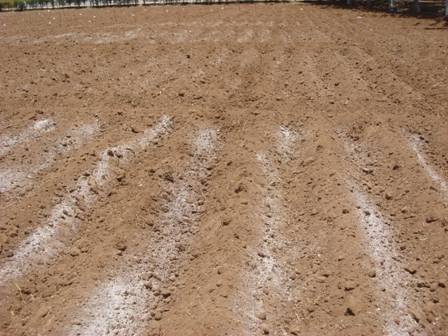 Fertilizer applicaiton